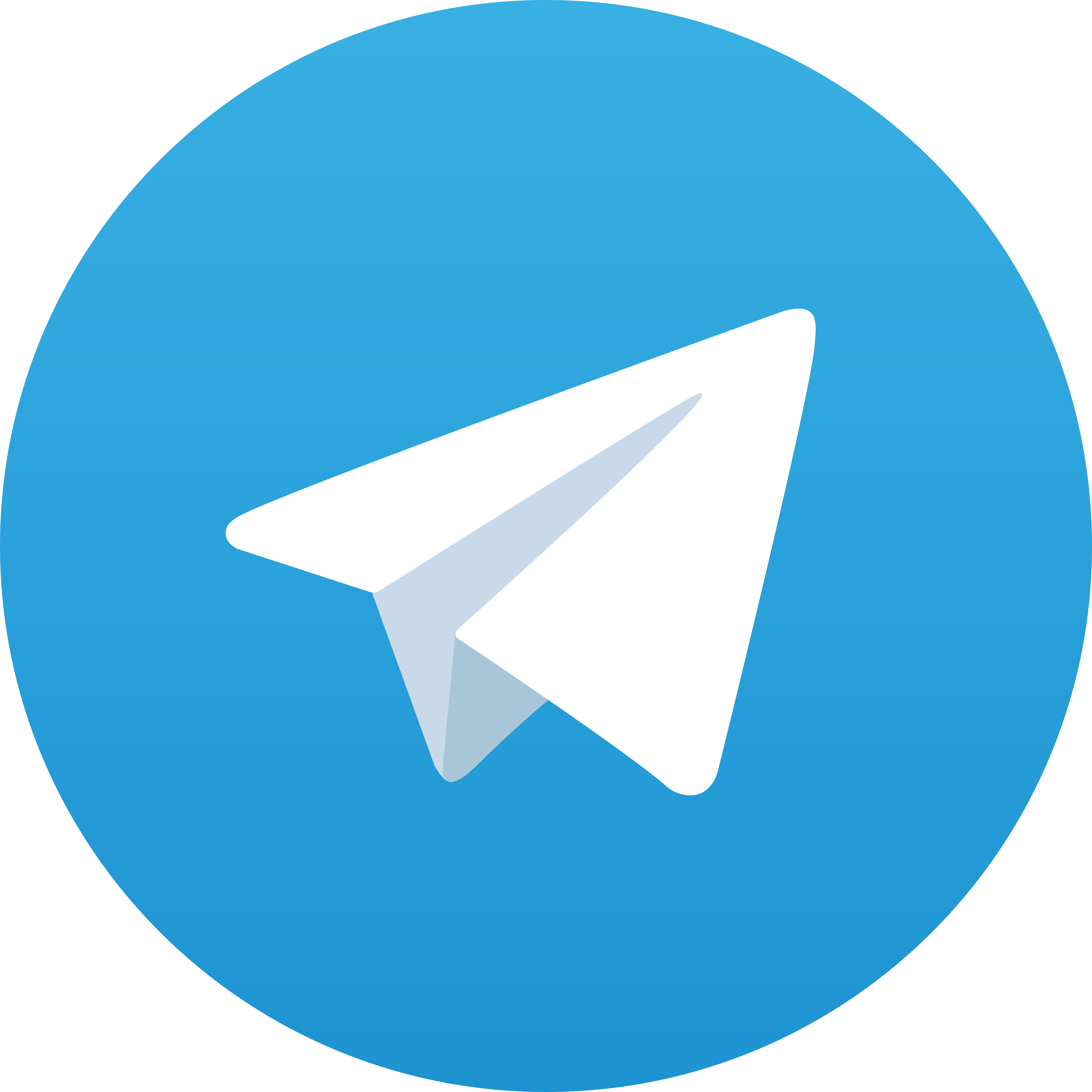 Telegram Salutboz